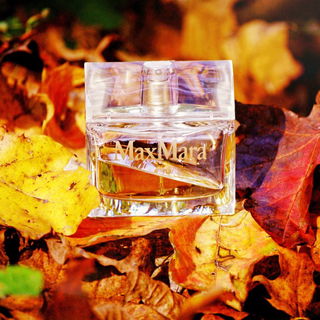 Der schräge bunte Herbst