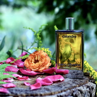 Calandre (1969) (Parfum) by Rabanne