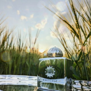 Reflektionen im Gerschnfoid.. 🤍