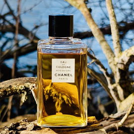 Chypre - L. Schmelzer Parfümerie