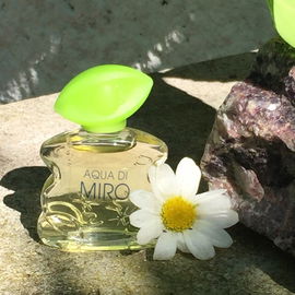 Aqua di Miro - Miro
