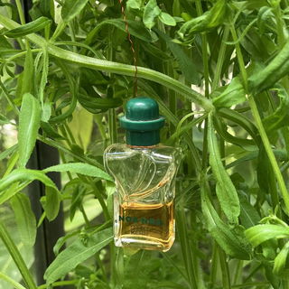 Noa Noa (Eau de Parfum) by Otto Kern