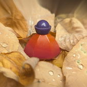 ꧁❈ ein kleines Herbstleuchten im trüben November ❈ vielen lieben Dank für Euren Besuch ❈ Eure wertschätzenden Worte freuen mich sehr ❈꧂ (von Flughörnchen)