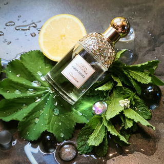 Aqua Allegoria Herba Fresca von Guerlain