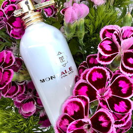 Sunset Flowers - Montale