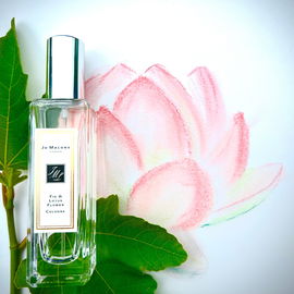 Fig & Lotus Flower - Jo Malone