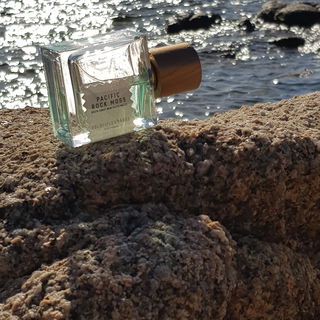 Tabac Rose - bdk Parfums