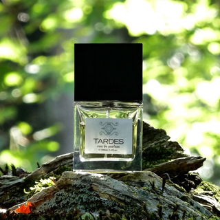 Tardes (Eau de Parfum) - Carner