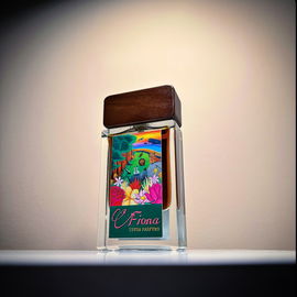 Fiona - TSVGA