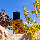 Die letzten Sonnentage genießen ....  🌞🍂💐😎 (by MadameLegras)