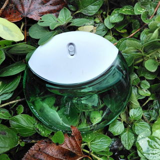 A Drop d'Issey (Eau de Parfum Essentielle) by Issey Miyake