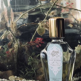Classic Collection: Aqua Composita - Eau d'Iris - Florascent