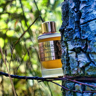 Habano Vanilla - ArteOlfatto - Luxury Perfumes