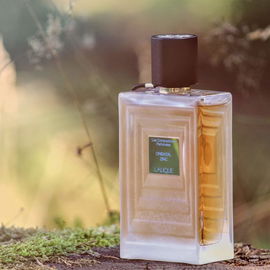 J'adore (Eau de Parfum) - Dior