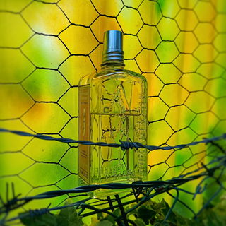 Verveine Agrumes / Citrus Verbena (Eau de Toilette) - L'Occitane en Provence