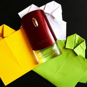 Elegant, zurückhaltend, angenehm frisch und immer tragbar. Lieben Dank für den Besuch und die lobenden Worte. (by Zora)