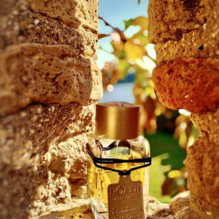 North - Mendittorosa