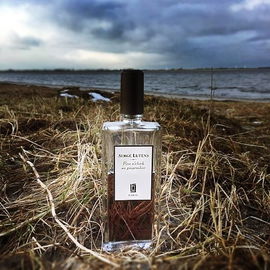 Five o'clock au gingembre - Serge Lutens