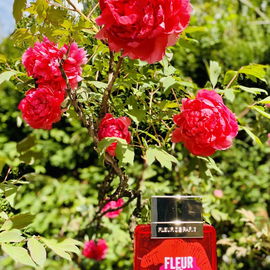 18. Arrondissement - Fleur de Paris