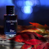 ….. herzlich willkommen zur ‚blauen Stunde‘ in einem milden, späten Oktober 💙🍂 … schön, dass Ihr hier seid - und lieben Dank für Eure tollen Worte ☺️ …. (von IrisNobile)