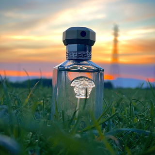 The Dreamer (Eau de Toilette) - Versace