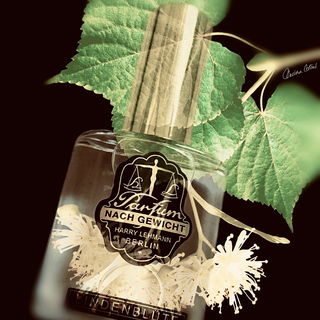 Lindenblüte - Harry Lehmann