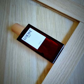 Solo Cedro - Loewe