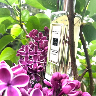 Lime Basil & Mandarin (Cologne) - Jo Malone
