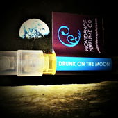 Erdsüchtig auf dem Mond (von Floyd)