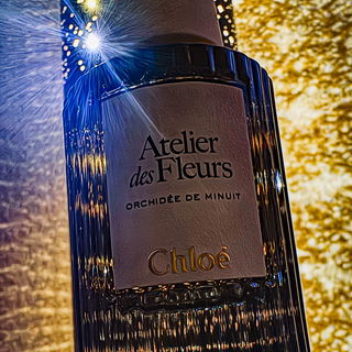 Orchidée de Minuit von Chloé