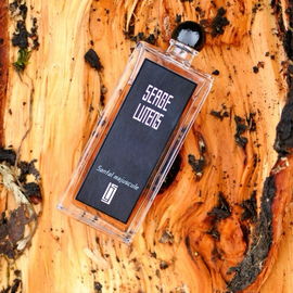 Ambre sultan (Eau de Parfum) - Serge Lutens