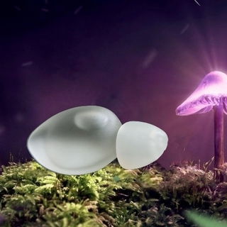 Zen von Tan Giudicelli