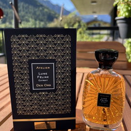 von Kitzbühel88