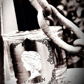 Carmen - Calaj