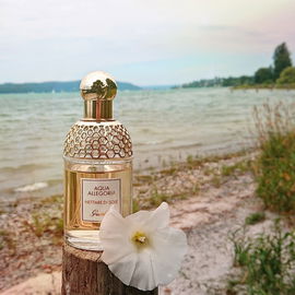 Aqua Allegoria Nettare di Sole - Guerlain