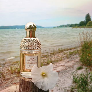 Aqua Allegoria Nettare di Sole - Guerlain