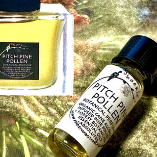 Pitch Pine Pollen