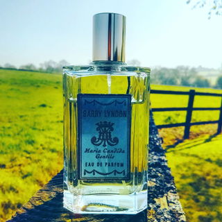 Barry Lyndon & the rolling hills of Wiltshire