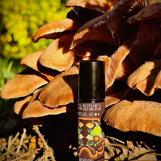 Mushroom Hunting (Perfume Oil) von Botica Botanica