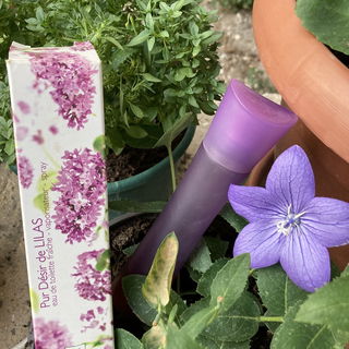 Pur Désir de Lilas von Yves Rocher