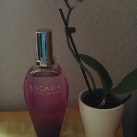 Marine Groove - Escada