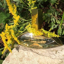 Euphoria Gold - Calvin Klein