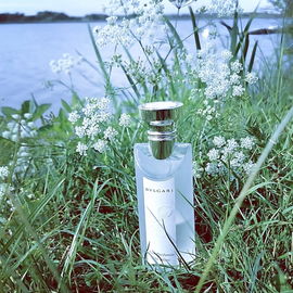 Eau Parfumée Thé Blanc (Eau de Toilette)