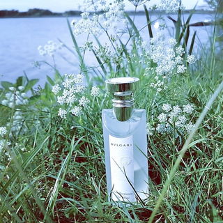 Die 2 weißen Punkte im Hintergrund sind Schwäne. Ihr fluffiges Gefieder würde auch zu dem Duft passen. Leider hatte Luna keine Lust mehr zu warten, bis sie näher kommen. Ganz lieben Dank euch 🤗😘