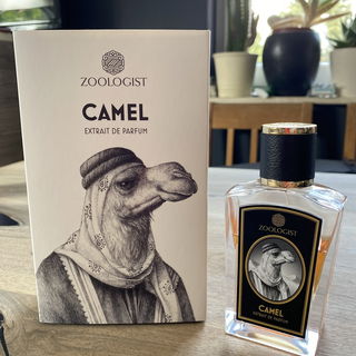 Madawi 40 Years Gold Edition - Arabian Oud