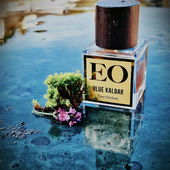 Cyan-Blau : Die Farbe des Meeres an einem Chamäleon - Tag. 🪷 Das pulsierend,geräuschlose Gleiten der Quallen. 🪼 Borneo : Tauchgang einer Mimose.Vielen Dank 🧜‍♀️ (von Seejungfrau)