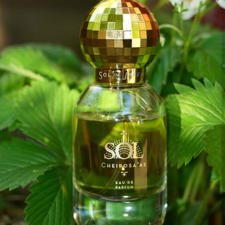 Sol Cheirosa '62 by Sol de Janeiro