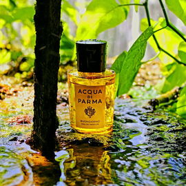 Buongiorno - Acqua di Parma
