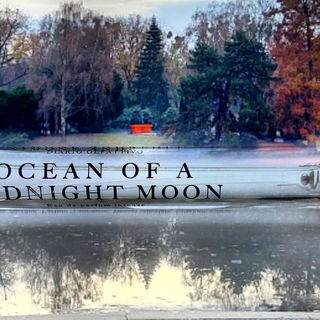 Habt lieben Dank für eure Kommentare 💙🤗