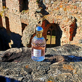 Aqua Allegoria Ginger Piccante - Guerlain